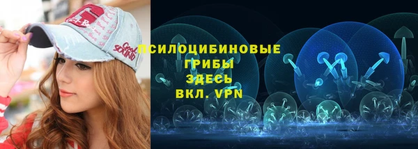 прущий лед Михайлов