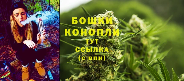молекула духа Киренск