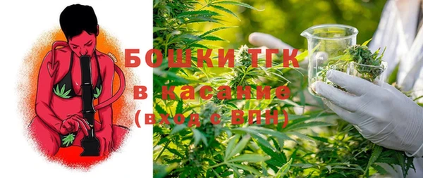 прущий лед Михайлов