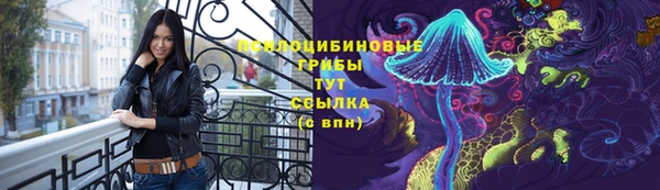 молекула духа Киренск